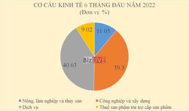 GDP qu&yacute; 2/2022 ước t&iacute;nh tăng 7,72%, mức tăng cao nhất 11 năm ảnh 2