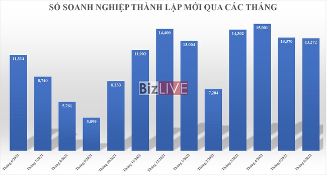 Hơn 76 ngh&igrave;n doanh nghiệp th&agrave;nh lập mới trong 6 th&aacute;ng đầu năm 2022 ảnh 1