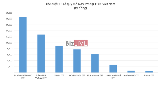 Dòng vốn ETF được dự báo tiếp tục tăng mạnh sau khi hút ròng hơn 8.000 tỷ đồng 6 tháng đầu năm 2022 ảnh 2