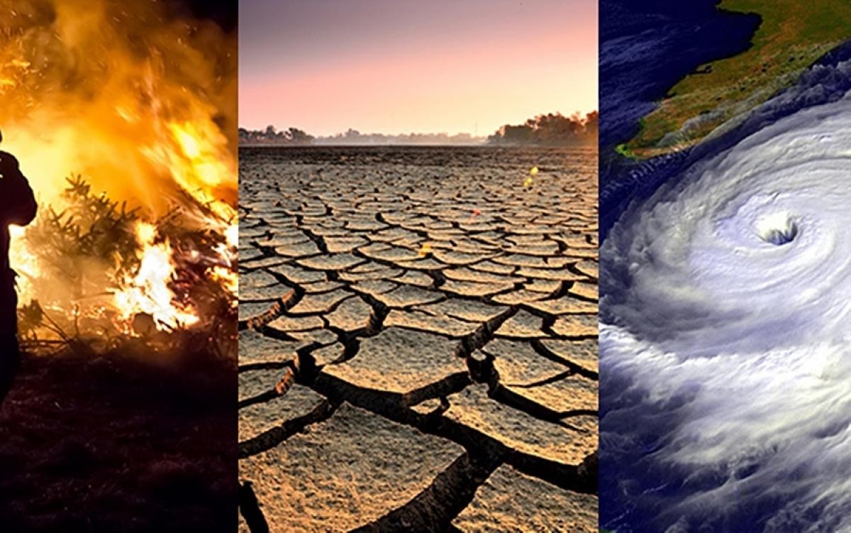 Vietnam Among the Most Vulnerable Countries to Climate Impacts