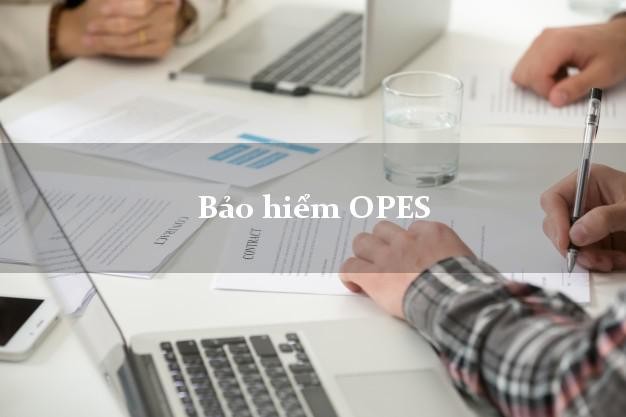 VPBank dự kiến sẽ nắm tới 98% vốn của OPES (H&igrave;nh minh họa).