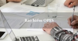 VPBank thâu tóm Bảo hiểm OPES