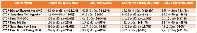 Lợi nhuận qu&yacute; 2 nhiều doanh nghiệp th&eacute;p giảm mạnh, lời cảnh b&aacute;o của Chủ tịch Ho&agrave; Ph&aacute;t đ&atilde; th&agrave;nh sự thật? ảnh 1