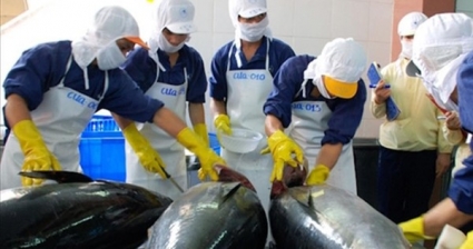 Xuất khẩu cá ngừ và “giấc mơ tỷ đô&quot;