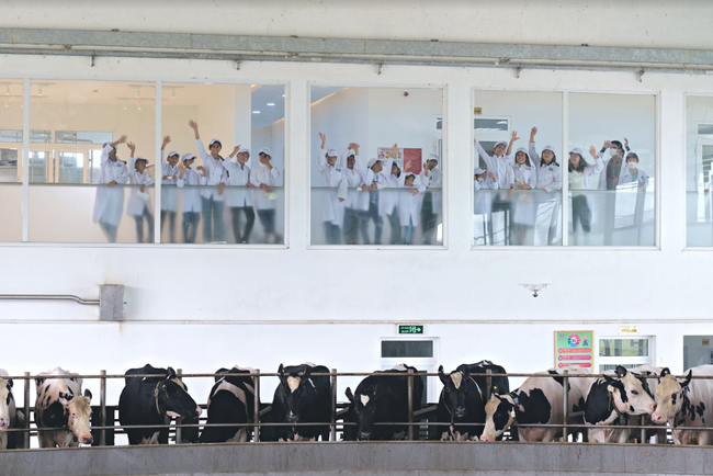 Vinamilk và Quỹ sữa Vươn cao Việt Nam tổ chức nhiều hoạt động đồng hành nhân dịp 15 thành lập ảnh 6