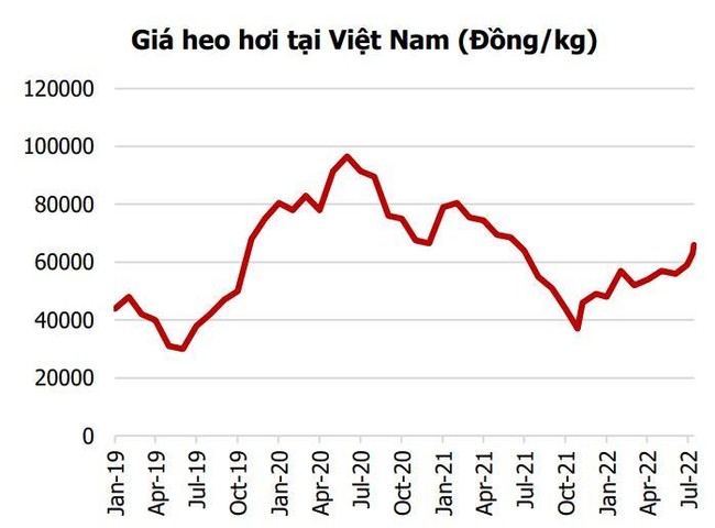 Gi&aacute; nhiều h&agrave;ng h&oacute;a hạ nhiệt, cổ phiếu dầu kh&iacute;, thủy sản, ph&acirc;n b&oacute;n, chăn nu&ocirc;i sẽ ra sao trong những th&aacute;ng cuối năm? ảnh 2