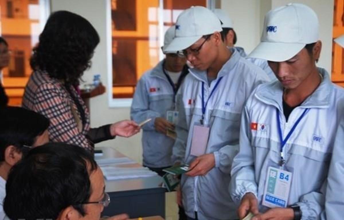 Dự b&aacute;o phải hết năm 2022 sang tới năm 2023 thị trường xuất khẩu lao động nước ta mới ho&agrave;n to&agrave;n trở lại guồng quay (Ảnh minh họa)