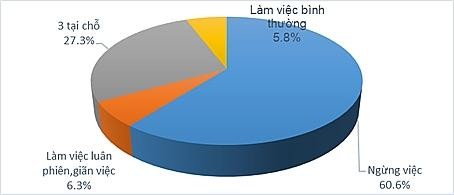 Tác động của đại dịch COVID-19 đến lao động ngành Dệt may, Da giày ảnh 1