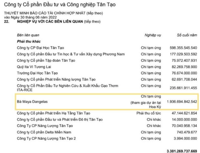 T&acirc;n Tạo (ITA) c&ocirc;ng bố lại BCTC, giải tr&igrave;nh về khoản tạm ứng cho b&agrave; Đặng Thị Ho&agrave;ng Yến ảnh 1