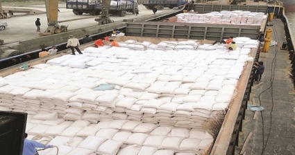 Xuất khẩu gạo trong quý 4 chắc chắn sẽ vẫn ổn định