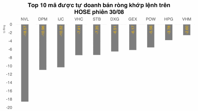 Tự doanh mua r&ograve;ng 348 tỷ đồng tr&ecirc;n HOSE trong th&aacute;ng 8  ảnh 1