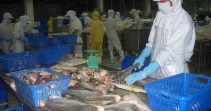 Khối thị trường CPTPP còn dư địa rộng lớn cho xuất khẩu cá tra