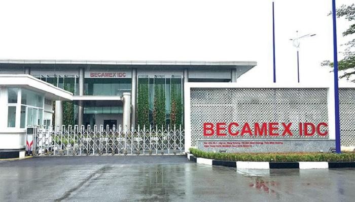 BCM đang đạt kỷ lục gi&aacute; cao nhất từ trước đến nay, một hiện tượng rất hiếm kể từ sau khi thị trường đi xuống từ đầu th&aacute;ng 4 năm nay