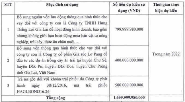 HAGL &amp;amp;quot;quay xe&amp;amp;quot; tiếp tục ph&aacute;t h&agrave;nh 1.700 tỷ đồng cổ phiếu ri&ecirc;ng lẻ, tăng vốn cho c&ocirc;ng ty trồng chuối ảnh 1