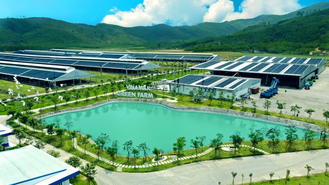 Gi&aacute;m đốc điều h&agrave;nh T&agrave;i ch&iacute;nh Vinamilk: &ldquo;Khi x&aacute;c định ESG l&agrave; cơ hội, việc thực h&agrave;nh ESG sẽ trở n&ecirc;n tốt v&agrave; b&agrave;i bản hơn&rdquo; ảnh 2