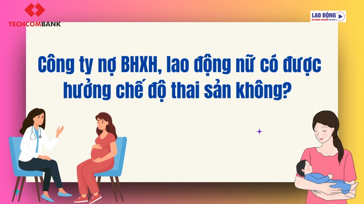 https://nhipsongdoanhnghiep.laodongcongdoan.vn/stores/video_data/2024/102024/21/11/lao-dong-nu20241021112011.jpg