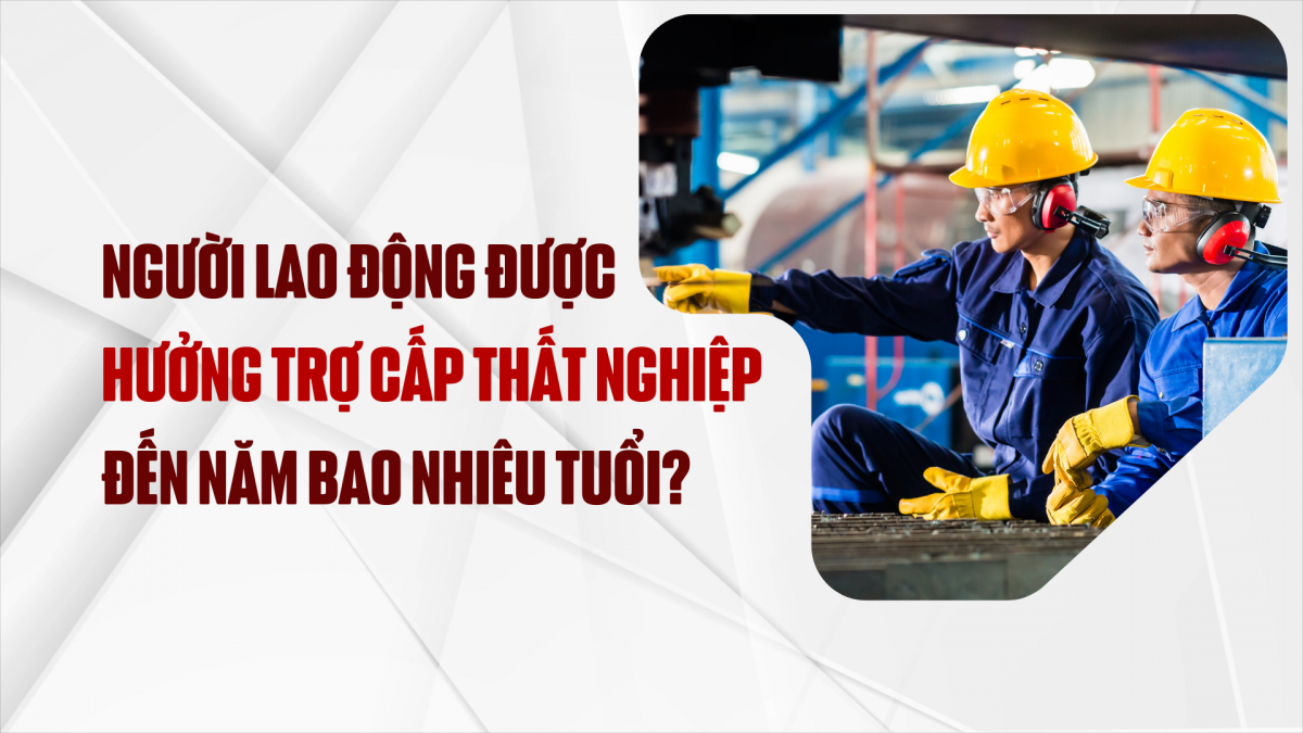 https://nhipsongdoanhnghiep.laodongcongdoan.vn/stores/video_data/2024/122024/03/09/nguoi-lao-dong-duoc-huong-tro-cap-that-nghiep-den-nam-bao-nhieu-tuoi20241203092436.png