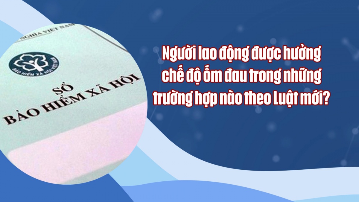 https://nhipsongdoanhnghiep.laodongcongdoan.vn/stores/video_data/2025/022025/09/12/medium/sequence-0100-15-20-18still00420250209124307.jpg